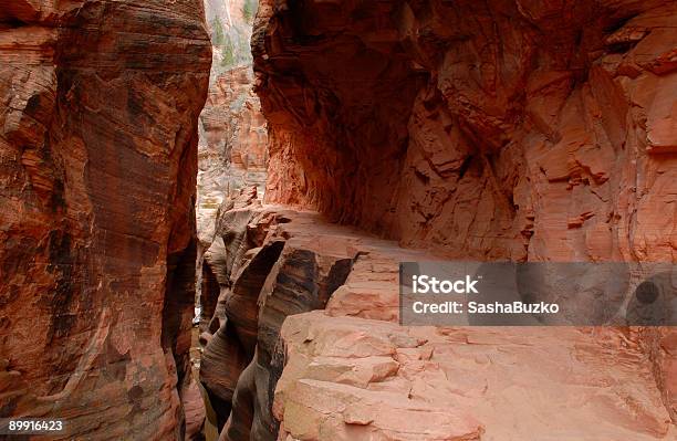 Wandern Durch Eine Slot Canyon In Zion National Park Stockfoto und mehr Bilder von Enge