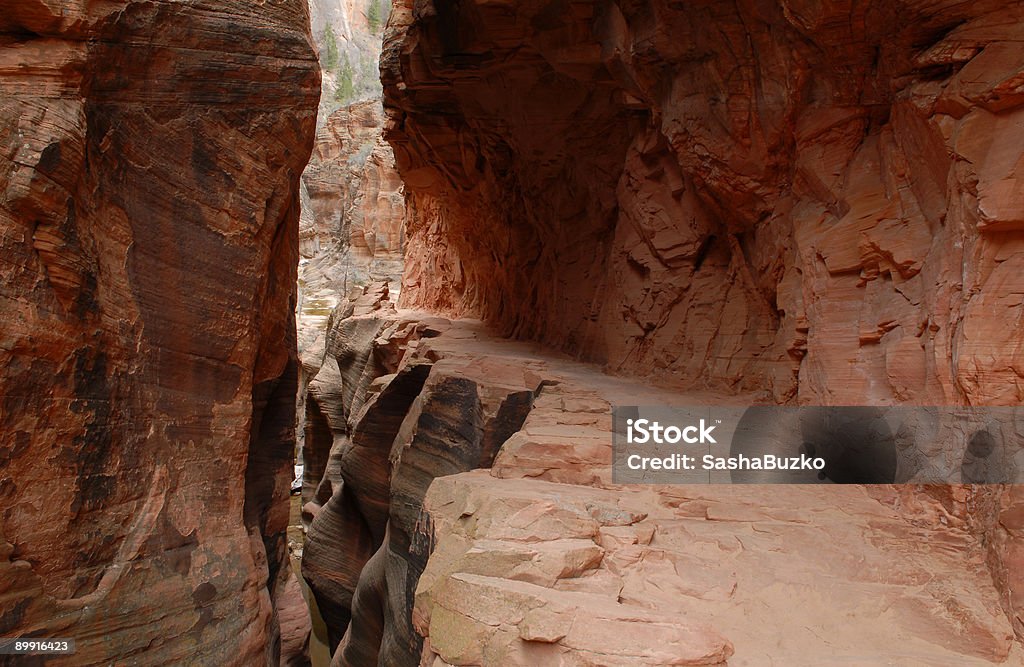 Sentier de randonnée à travers un slot canyon au parc National de Zion - Photo de Voie piétonne libre de droits