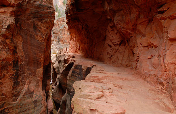 Hiking trail through a slot canyon in Zion National Park stock photo