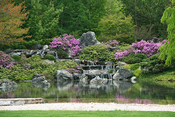 istock Flowering Japanese garden 89916601