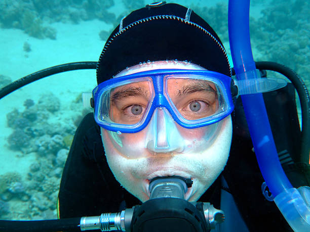 diver stock photo