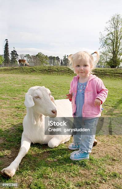 Niña En El Zoológico Interactivo Y Caprino Foto de stock y más banco de imágenes de 18-23 meses - 18-23 meses, Adolescencia, Adolescente