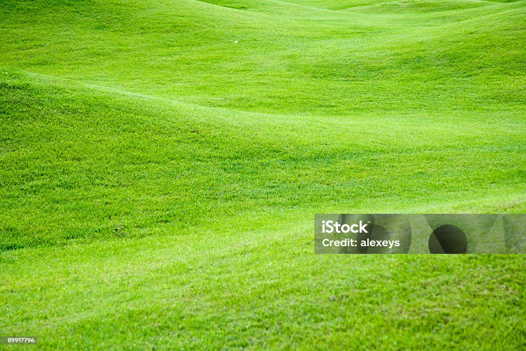 Grüne Wiesen - Lizenzfrei Anhöhe Stock-Foto