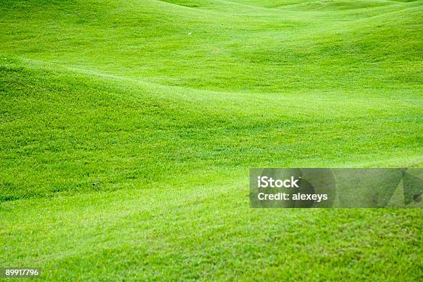 Grüne Wiesen Stockfoto und mehr Bilder von Anhöhe - Anhöhe, Bildhintergrund, Blatt - Pflanzenbestandteile
