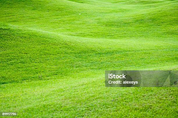 Verde Prados Foto de stock y más banco de imágenes de Abierto - Abierto, Aire libre, Ajardinado