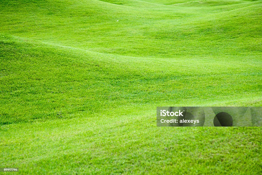 Зеленые пастбища - Стоковые фото Без людей роялти-фри