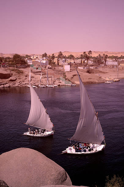 istock Felucca Boats on the Nile River in Egypt 89918049