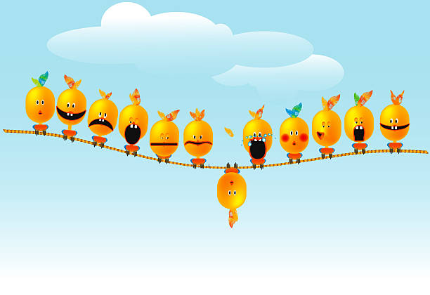 Silly birds vector art illustration