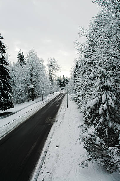 Snowy Road stock photo