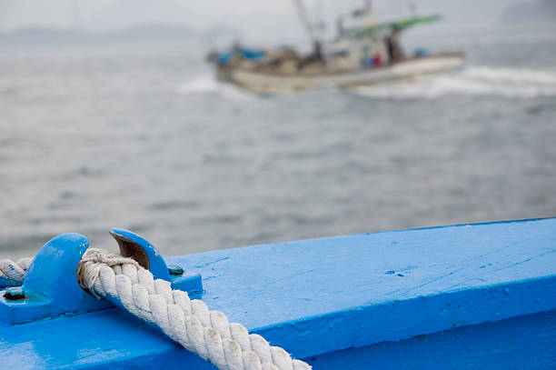 Pesca de tempestade - foto de acervo