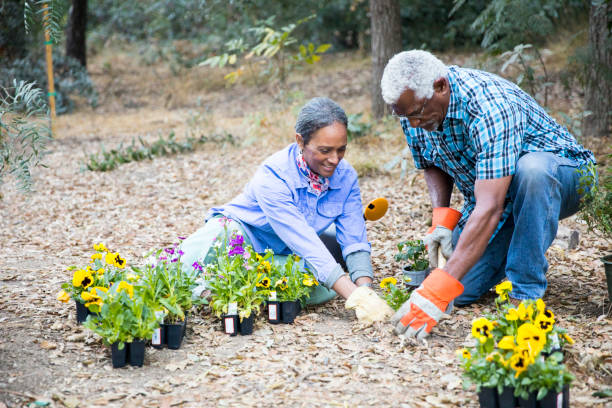 istock Senior Black Couple Gardening 899199278