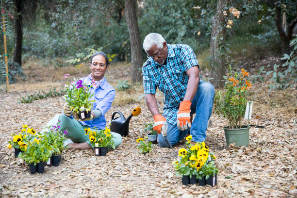istock Senior Black Couple Gardening 899199300
