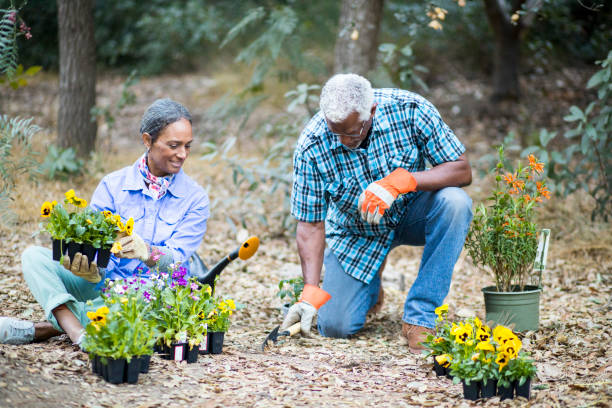 istock Senior Black Couple Gardening 899199302