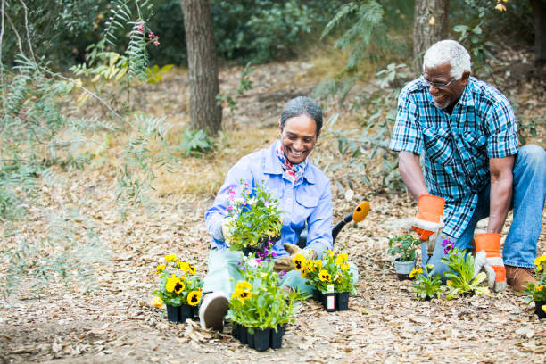 istock Senior Black Couple Gardening 899199366