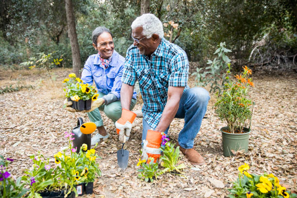 istock Senior Black Couple Gardening 899199408