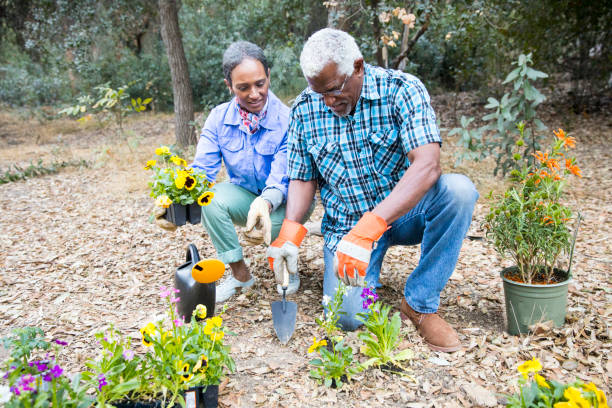 istock Senior Black Couple Gardening 899199454