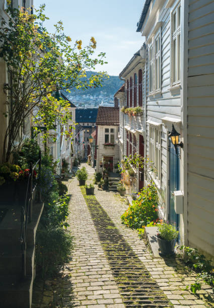 Narrow cobbestone Trangesmauet street in the old town of Bergen in Norway