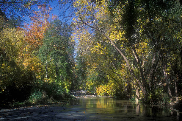 istock Fall Colours, Oak Creek Canyon Arizona 89920085