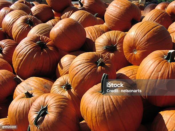 Serie De Calabaza Foto de stock y más banco de imágenes de Calabacita - Calabacita, Calabaza gigante, Color - Tipo de imagen