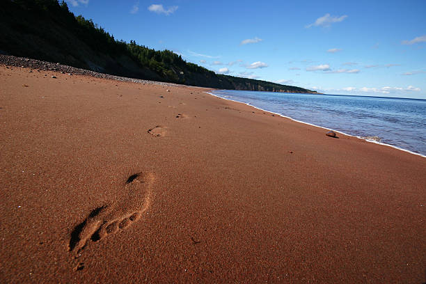 istock Footprint in the sand 89920326