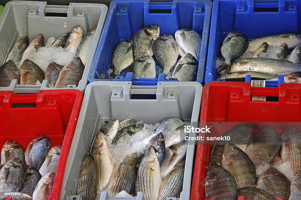 Fishy - Foto de stock de Alimentação Saudável royalty-free