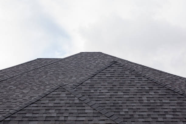A perfect rooftop A perfect black roof with shingles. roof tile photos stock pictures, royalty-free photos & images