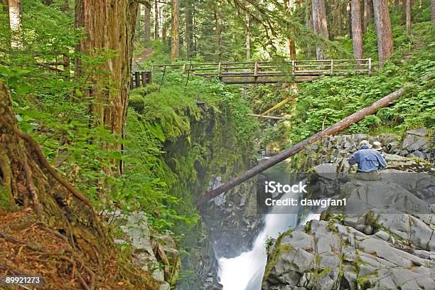 Family Enjoying A Waterfall Stock Photo - Download Image Now - Adult, Branch - Plant Part, Brown