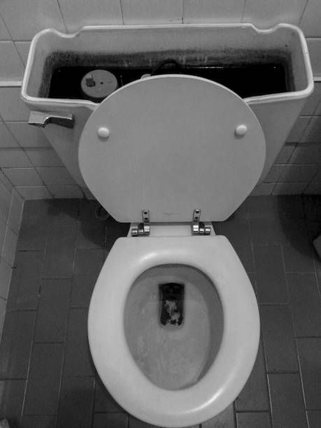 istock Old toilet tank without lid 899215014