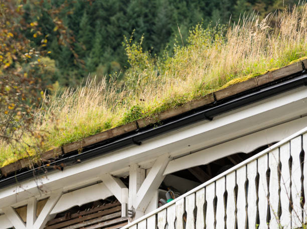 istock Grass turf used as roofing material on Norwegian stable 899215372