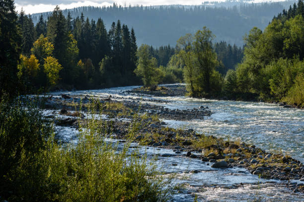 istock mountain river in summer. Bialka river, Poland 899215388
