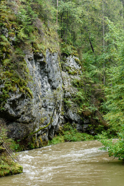 istock mountain river in summer. slovensky raj. sucha bela trail 899215628