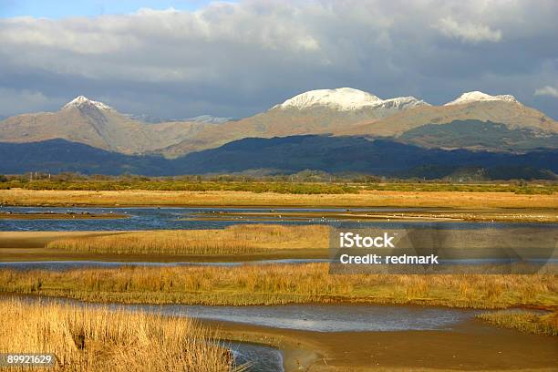 Rio Delta Cerca De Snowdonia País De Gales - Fotografias de stock e mais imagens de Caniço - Caniço, Estuário, Ao Ar Livre