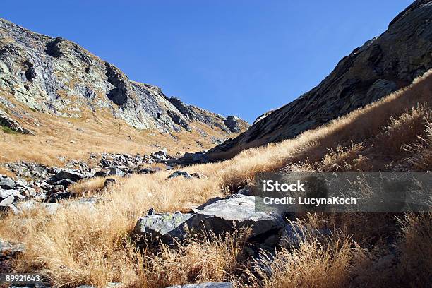 Wanderweg - カラー画像のストックフォトや画像を多数ご用意 - カラー画像, スイス, スイスアルプス