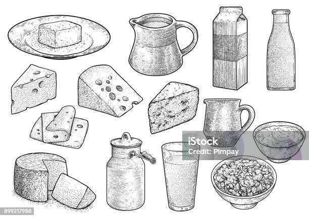 Milchproduktillustration Zeichnung Gravur Tinte Strichzeichnungen Vektor Stock Vektor Art und mehr Bilder von Käse