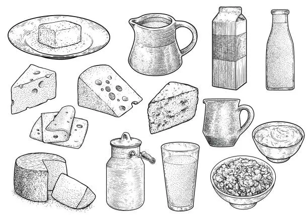 Vector illustration of Dairy product illustration, drawing, engraving, ink, line art, vector