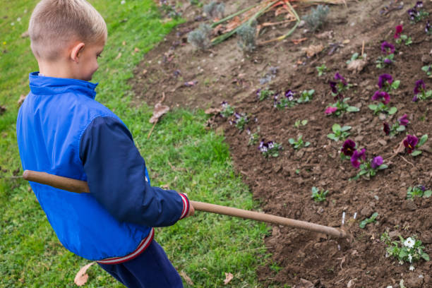istock Boy gardening with garden hoe 899218416