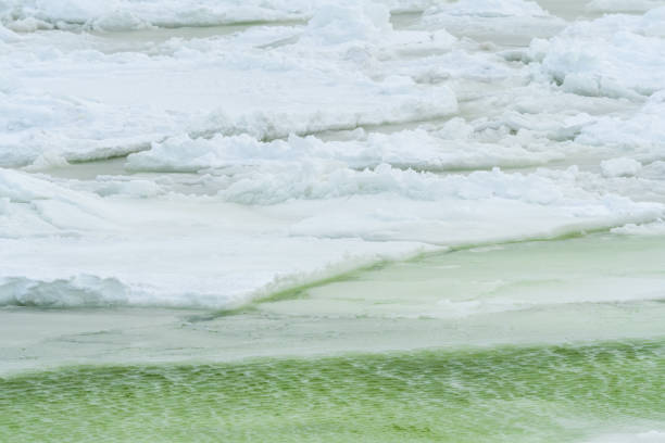 極寒の北部の冬 - arctic canada landscape manitoba ストックフォトと画像