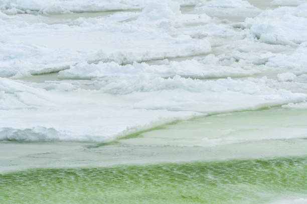 frigid north winter - arctic canada landscape manitoba imagens e fotografias de stock