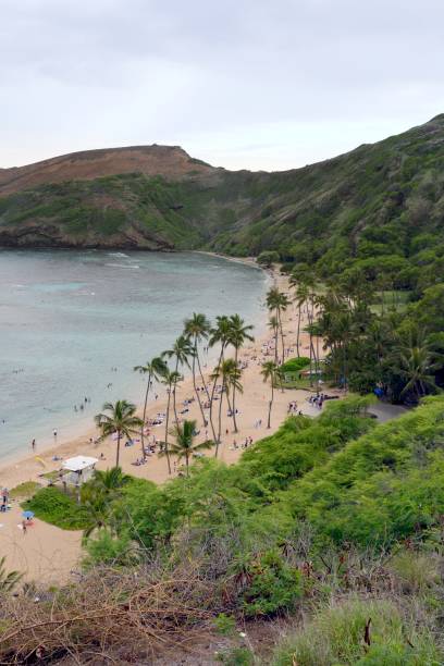 istock Hanauma Bay and Witches Brew Beach 899221786