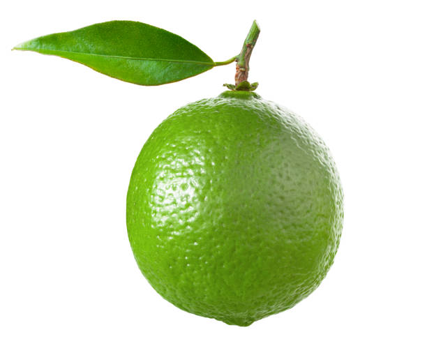 lima con hoja aislado en blanco - limones verdes fotografías e imágenes de stock