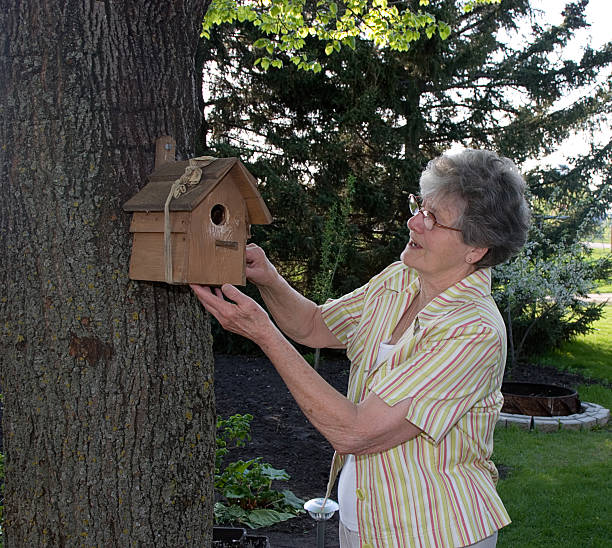 istock Senior hanging bird house 89922398