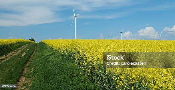 Foto de Fazenda De Windturbines Próximo Ao Campo De Estupro e mais fotos de stock de Agricultura