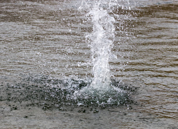 istock water splashing from a stone in the river 899229942