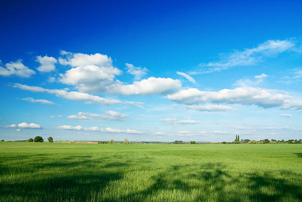 istock Large piece of land and blue cloudy sky 89923293