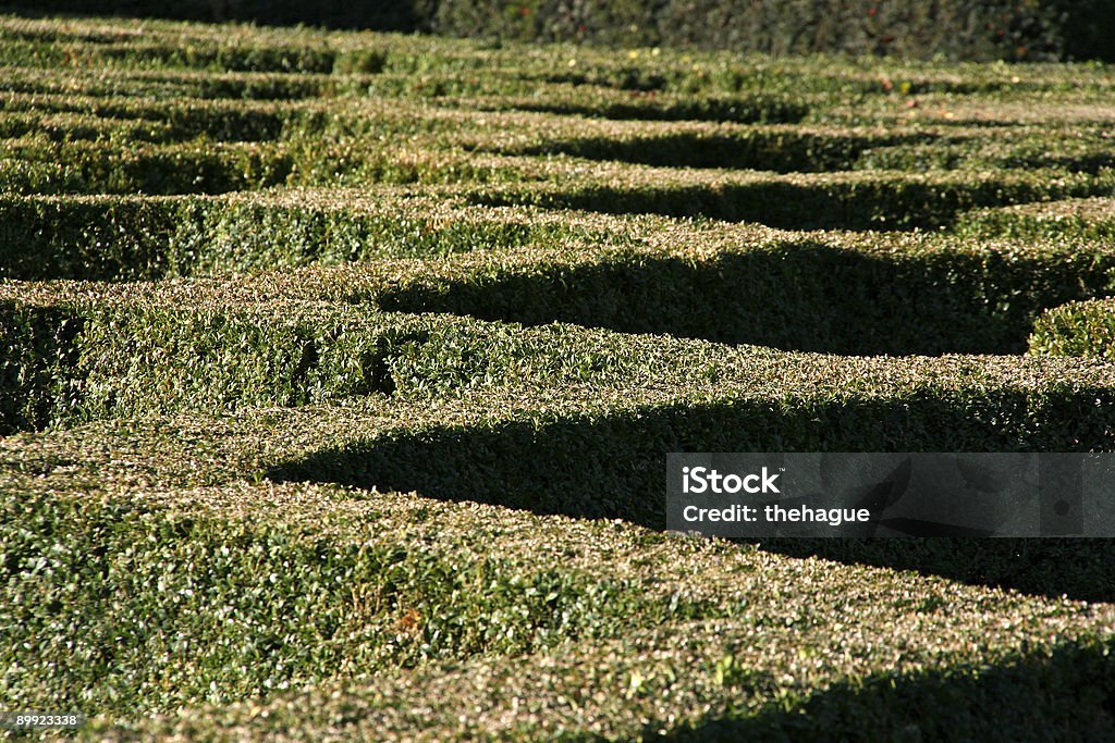Padrão de Hedge - Foto de stock de Labirinto royalty-free