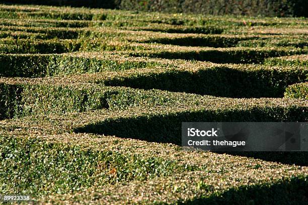 Foto de Padrão De Hedge e mais fotos de stock de Labirinto - Labirinto, Bélgica, Abstrato