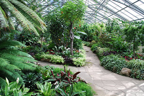 green house jardín tropical en toronto - natural landmark nature recreational pursuit ontario fotografías e imágenes de stock