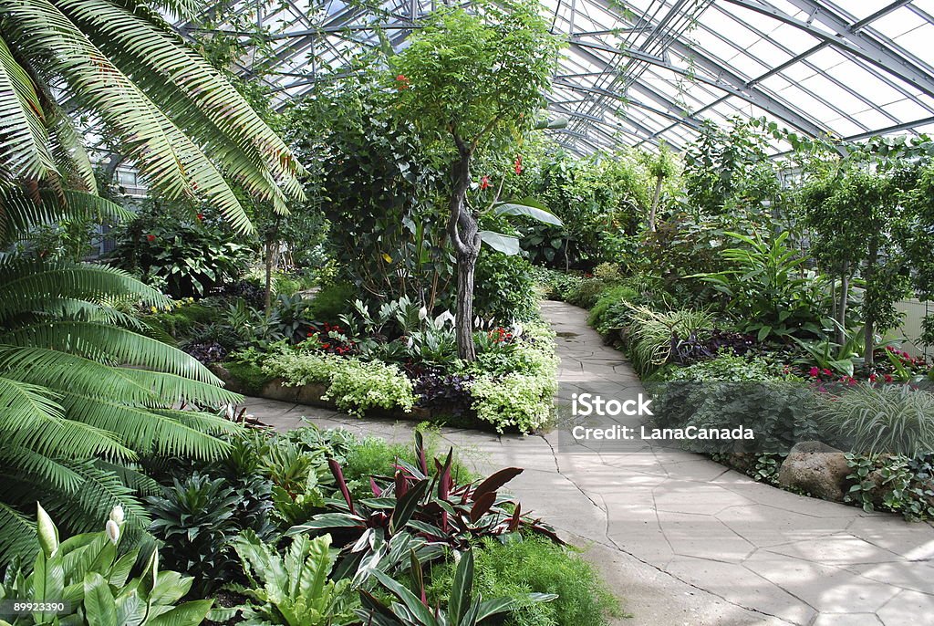 Tropical green house garden in Toronto  Botanical Garden Stock Photo