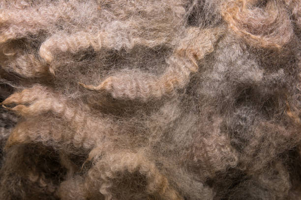 istock Staples of high quality brown wool 899234038