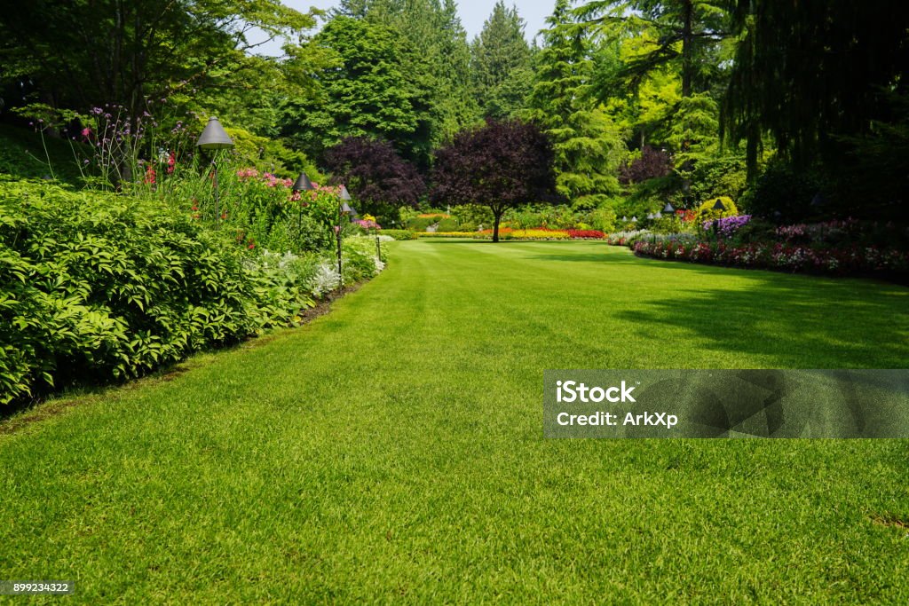 Beautiful trees and green grass  in  garden Beautiful trees and green grass  in  garden. Lawn Stock Photo